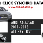 Pack of 10 x SYNC DATA for A6,A7,A8 or Touareg